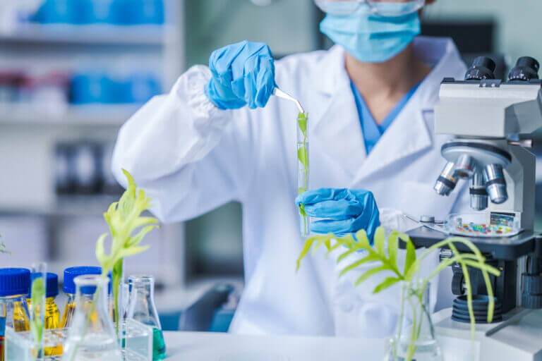 Female,Science,Biology,Laboratory,Worker,Using,Pipette,,Test,Tubes,,Microscope